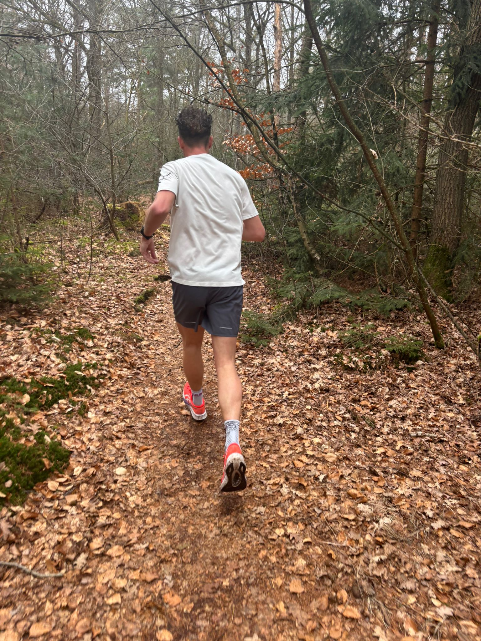 De rode route met de groene lintjes
